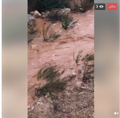 المنخفض الجوي ... سيول وفيضانات في معظم البلدات العربية
