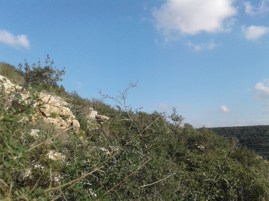 حالة الطقس لهذا اليوم 