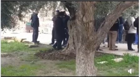 القدس ...مستوطنون يقتحمون باحات الاقصى صباح اليوم