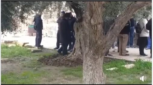 القدس ...مستوطنون يقتحمون باحات الاقصى صباح اليوم