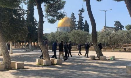 67 مستوطناً اقتحموا باحات الاقصى