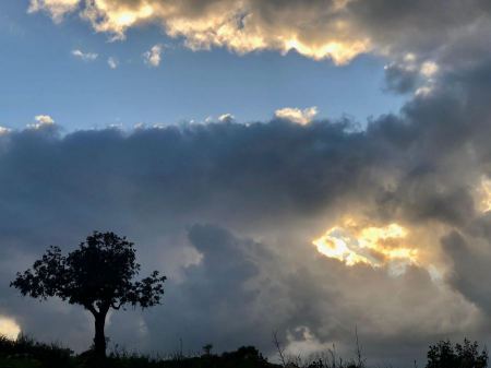 غداً الثلاثاء : تعطيل الدراسة في المدارس الفلسطينية لسوء الاحوال الجوية