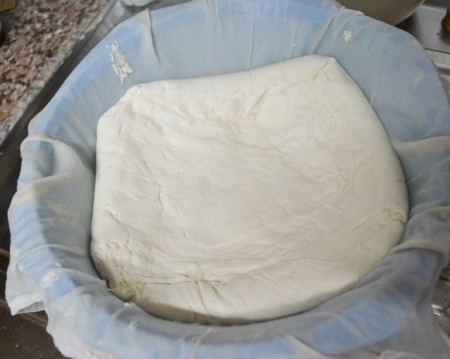 ام الفحم ... حالتي اصابة بالحمى المالطية