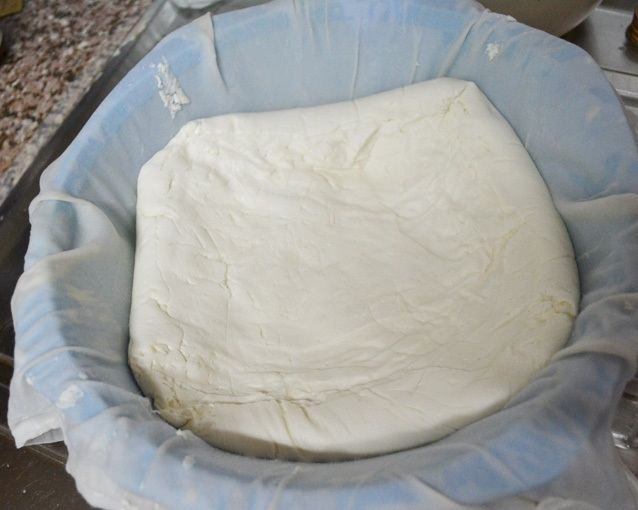 ام الفحم ... حالتي اصابة بالحمى المالطية