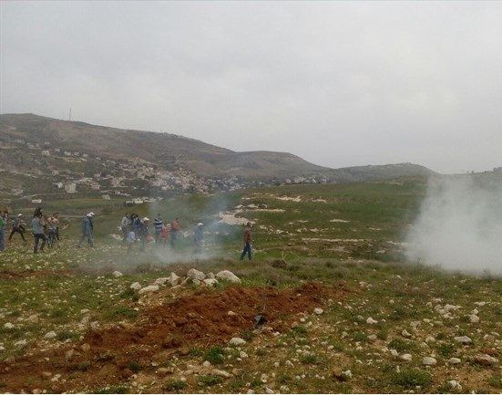عشرات الجرحى برصاص الاحتلال خلال قمع فعالية غرس الاشجار جنوب نابلس
