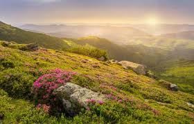 حالة الطقس لهذا اليوم 