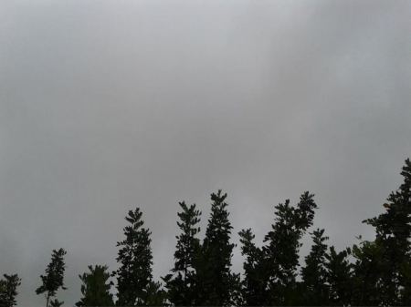 حالة الطقس لهذا اليوم