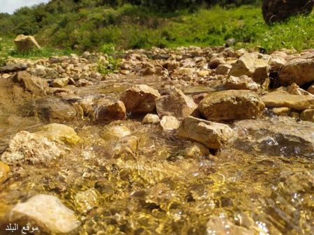 مجموعة من صور الربيع لبلدة برطعة 