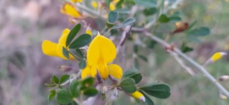 حالة الطقس لهذا اليوم 