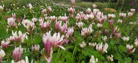 حالة الطقس لهذا اليوم 