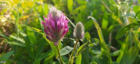 حالة الطقس لهذا اليوم 