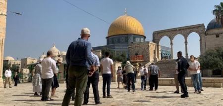 274 مستوطناً يقتحمون باحات الاقصى