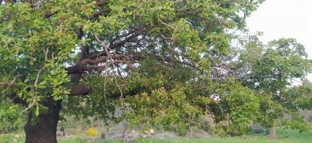 حالة الطقس هذا اليوم