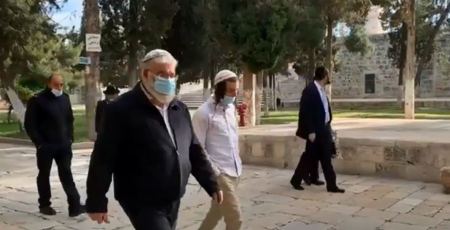 309 مستوطناً اقتحموا باحات الاقصى صباح اليوم