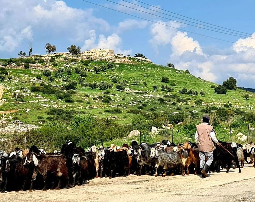 حالة الطقس لهذا اليوم