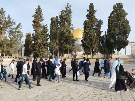 مستوطنون يقتحمون باحات المسجد الاقصى