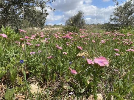 حالة الطقس لهذا اليوم