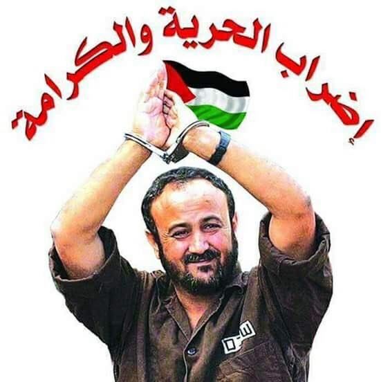 أكثر من 1500 اسير في سجون الاحتلال يخوضون اضراباً عن الطعام
