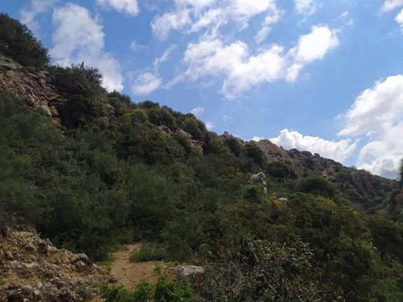 حالة الطقس لهذا اليوم ... انخفاض آخر على درجات الحرارة