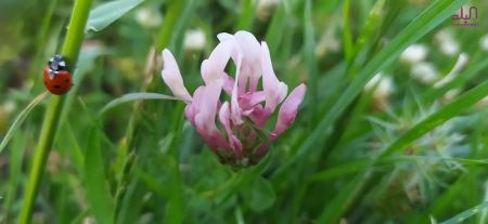 حالة الطقس لهذا اليوم 