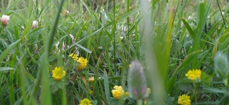 حالة الطقس هذا اليوم