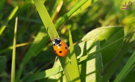 حالة الطقس لهذا اليوم 