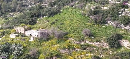 حالة الطقس هذا اليوم