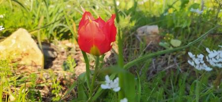 حالة الطقس لهذا اليوم 