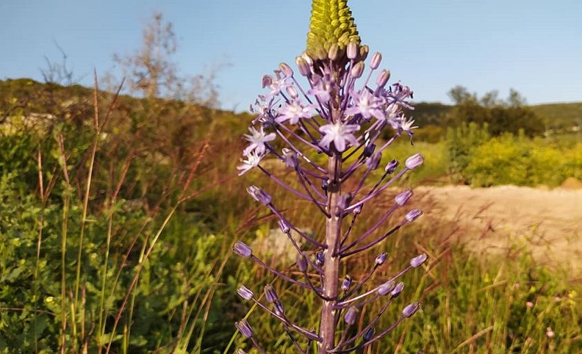 حالة الطقس لهذا اليوم 