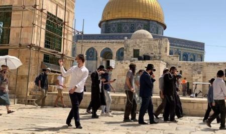 86 مستوطناً اقتحموا باحات الاقصى