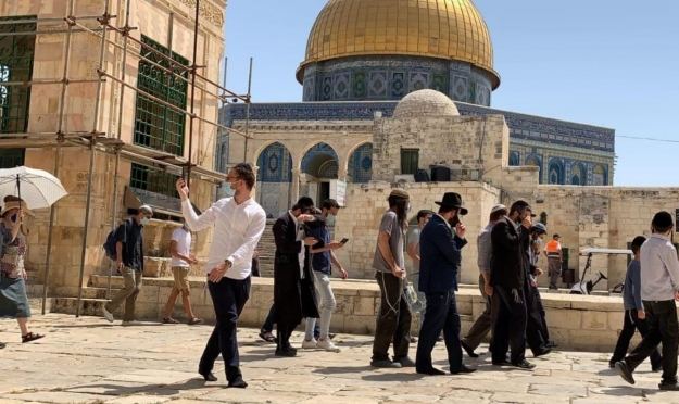 86 مستوطناً اقتحموا باحات الاقصى