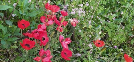 حالة الطقس هذا اليوم