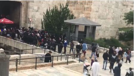 انطلاق فعاليات " معسكر القدس " في المسجد الاقصى