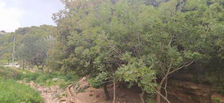 حالة الطقس هذا اليوم