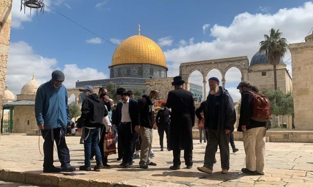 144 مستوطناً اقتحموا باحات الاقصى 