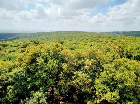 حالة الطقس هذا اليوم