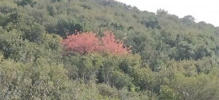 حالة الطقس لهذا اليوم 