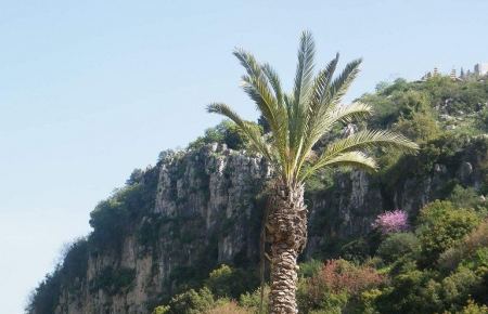 حالة الطقس لهذا اليوم ... ارتفاع على درجات الحرارة