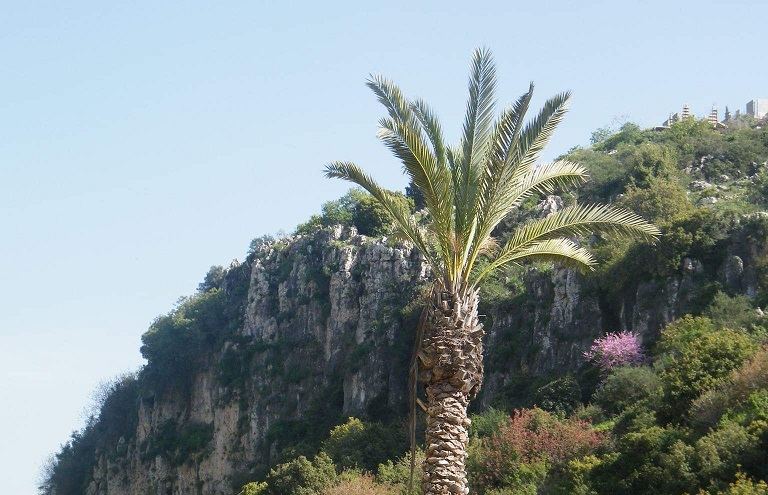 حالة الطقس لهذا اليوم ... ارتفاع على درجات الحرارة