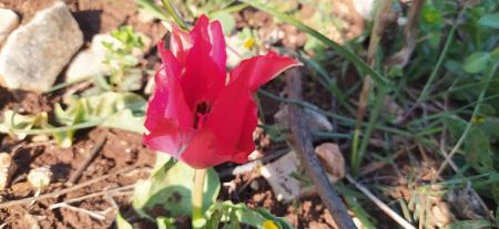 حالة الطقس لهذا اليوم 