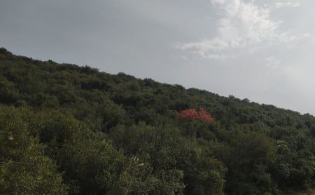 حالة الطقس لهذا اليوم