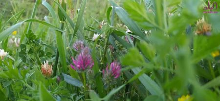 حالة الطقس لهذا اليوم 