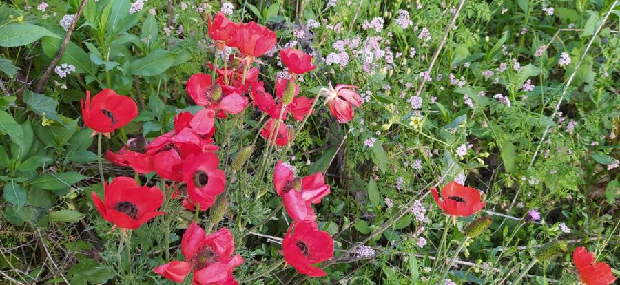 حالة الطقس لهذا اليوم 