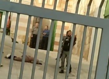 الخليل : شهيدة بنيران الاحتلال بزعم محاولتها طعن جندي