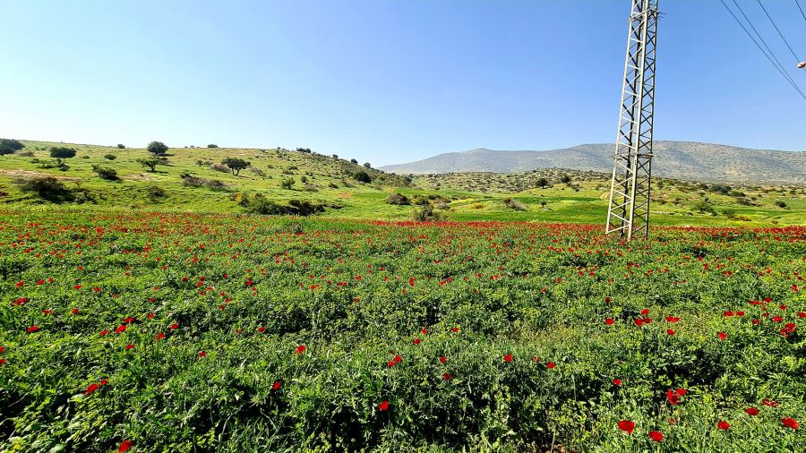 حالة الطقس لهذا اليوم