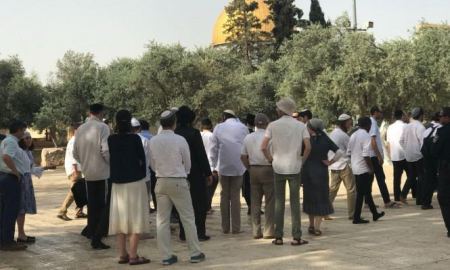 بحماية شرطة الاحتلال مئات المستوطنين يقتحمون باحات الاقصى