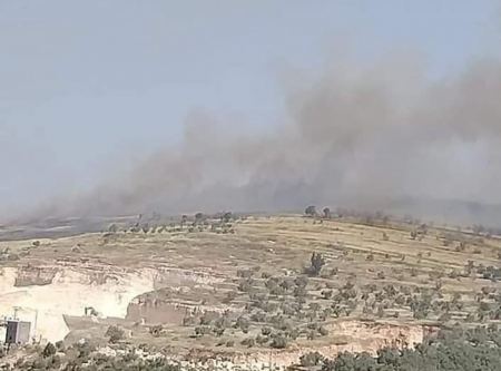 مستوطنون يضرمون النار بأراض زراعية قرب نابلس