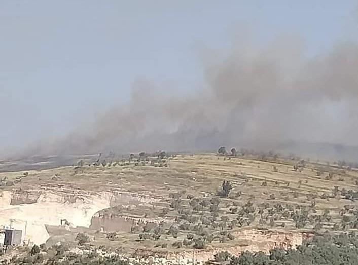 مستوطنون يضرمون النار بأراض زراعية قرب نابلس