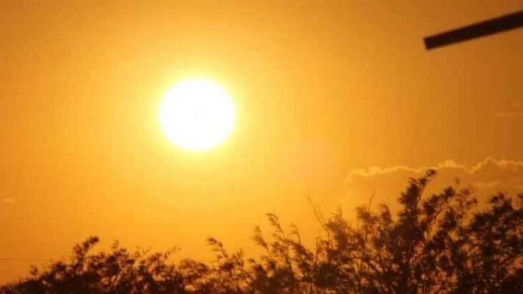 طقس اليوم : الجو حار وجاف