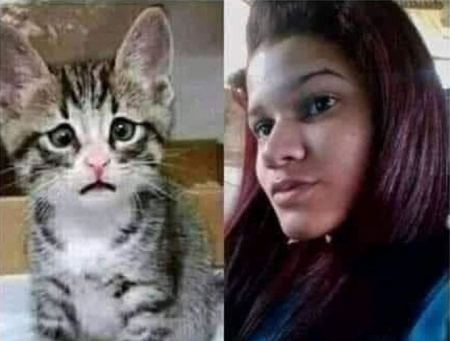 ماليزيا : السجن 3 سنوات لقاتلة القطة